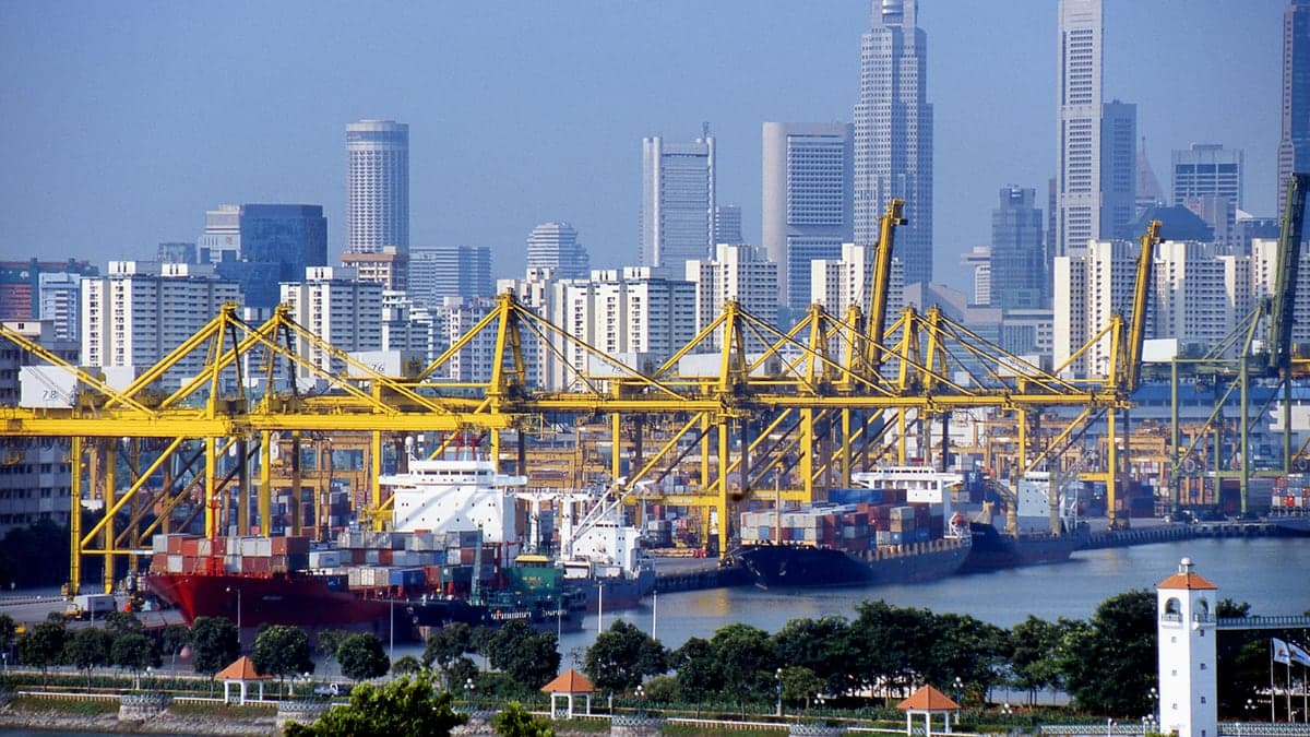 Containerhafen mit Kränen und Frachtschiffen, Drehscheibe des Seefrachtverkehrs zwischen Fernost und Europa